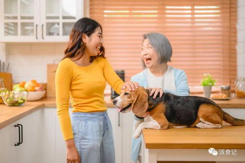 寵物食品營(yíng)銷新趨勢(shì) 問(wèn)“為什么”取代“是什么”的銷售革命