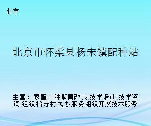 懷柔畜牧技術(shù)服務(wù)站 深化配種技術(shù)咨詢，助力鄉(xiāng)村振興